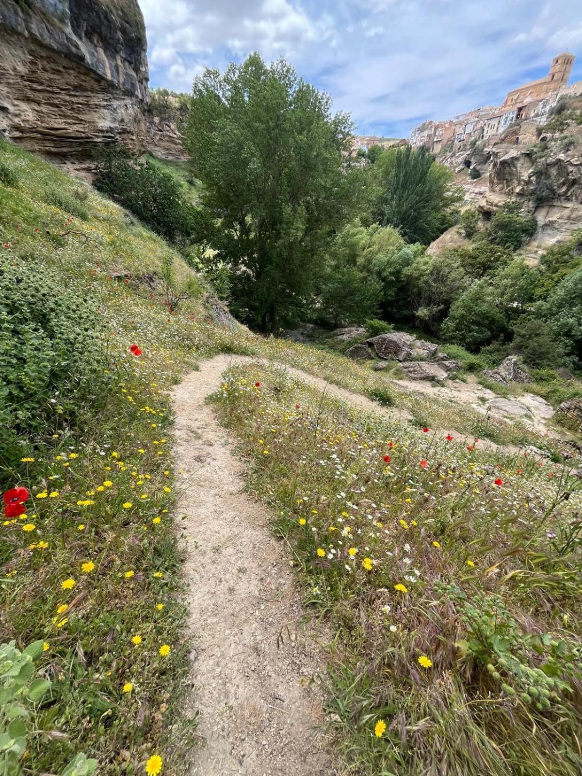 Alojamiento La Escalera Αλάμα ντε Γρανάδα Εξωτερικό φωτογραφία